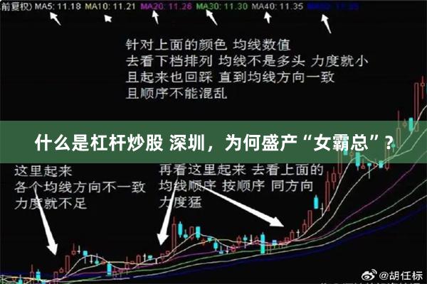 什么是杠杆炒股 深圳，为何盛产“女霸总”？