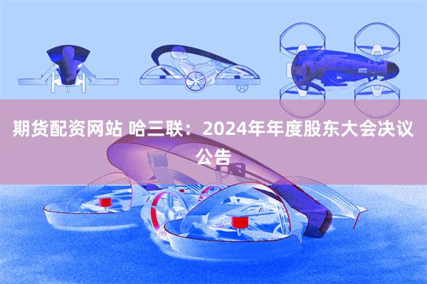 期货配资网站 哈三联：2024年年度股东大会决议公告