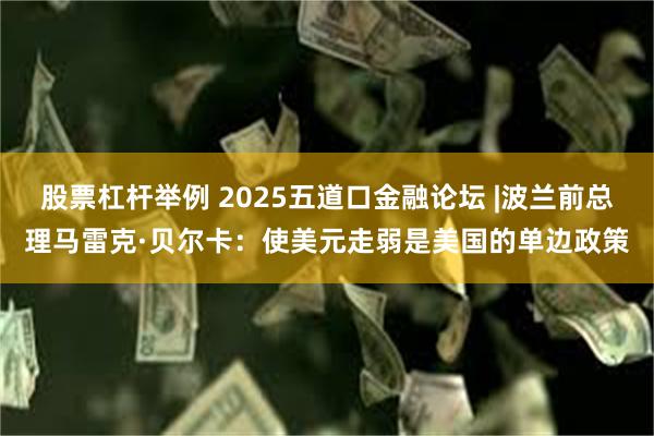 股票杠杆举例 2025五道口金融论坛 |波兰前总理马雷克·贝尔卡：使美元走弱是美国的单边政策