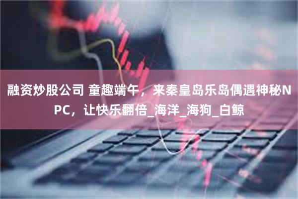 融资炒股公司 童趣端午，来秦皇岛乐岛偶遇神秘NPC，让快乐翻倍_海洋_海狗_白鲸