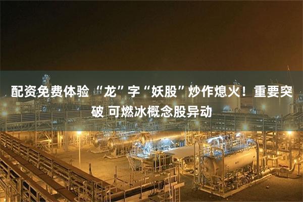 配资免费体验 “龙”字“妖股”炒作熄火！重要突破 可燃冰概念股异动